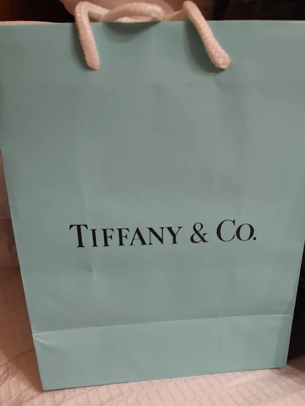 Original Tiffany & Co. Gift Bag